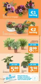 Albert Heijn folder week 42 Pagina 31: Bloemen shop.nl, AH Groene plant €3,50