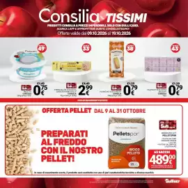 Volantino Supermercati Gulliver Pagina 18: Tonno all'olio di oliva varietà pinne gialle Consilia €2,99
