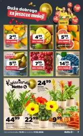 Netto gazetka tydzień 42 Strona 7: Borówka Sekoya €14,99, Mango €4,99