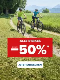 Hervis Flugblatt Seite 3