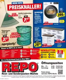 Repo Markt Prospekt woche 42 Seite 7