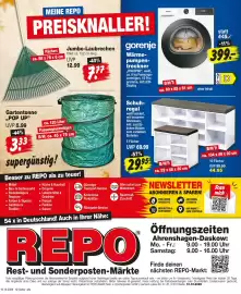 Repo Markt Prospekt woche 42 Seite 7