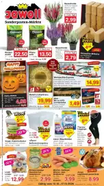 Jawoll Prospekt woche 42 Seite 1: Micro-LED-Lichterkette €1,49, Getrocknete Mehlwürmer €5,55