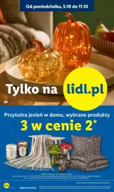 Lidl gazetka tydzień 41 Strona 10