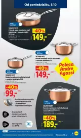 Lidl gazetka tydzień 41 Strona 13