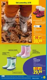 Lidl gazetka tydzień 41 Strona 33