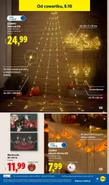 Lidl gazetka tydzień 41 Strona 45