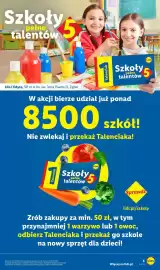 Lidl gazetka tydzień 41 Strona 7