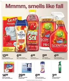Catálogo Target semana 42 Página 21: Charmin Ultra Strong €14,99, Biom flushable wipes €29,99