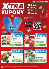 Kaufland gazetka Strona 13