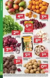Stokrotka Market gazetka tydzień 41 Strona 18