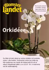 Blomsterlandet reklamblad Sida 1: Blomster Landet På ett utvalt sortiment av orkidéer, så länge lagret räcker eller till och