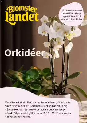 Blomsterlandet (giltig till och med 18-10)