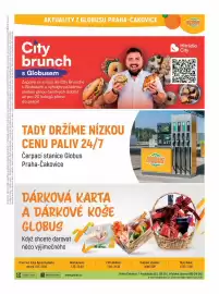 Globus leták týden 42 Strana 48