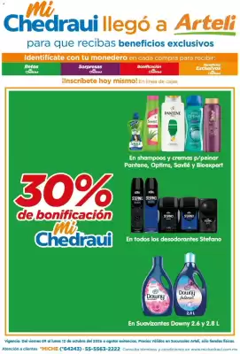 Folleto Arteli (válido hasta 12-10)