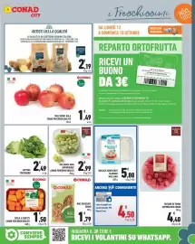 Volantino Conad City settimana 41 Pagina 7
