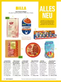 Billa Flugblatt Seite 10