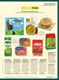 Billa Flugblatt Seite 11