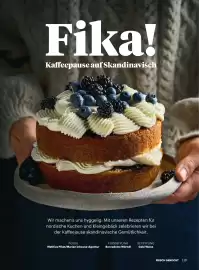 Billa Flugblatt Seite 119