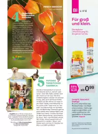 Billa Flugblatt Seite 15