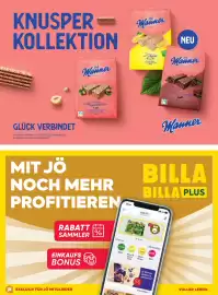 Billa Flugblatt Seite 46
