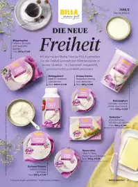 Billa Flugblatt Seite 47