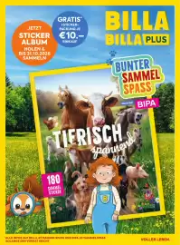 Billa Flugblatt Seite 6