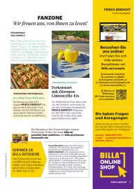 Billa Flugblatt Seite 9