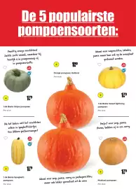 Dirk folder | Herfst Pagina 4: 1 de Beste Grijze pompoen €1,79, Muskaat pompoen €1,79