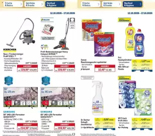 METRO Prospekt woche 42 Seite 24: WC Frisch Kraft Aktiv €4,49, Pril Handspülmittel €1,27