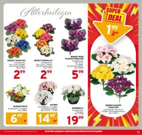 Trafic folder Pagina 11: Boeket roze kaapse viooltjes €5,99, Boeket viooltjes €2,99