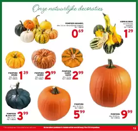 Trafic folder Pagina 13: Pompoen €9,99, Sierkalebas €1,29