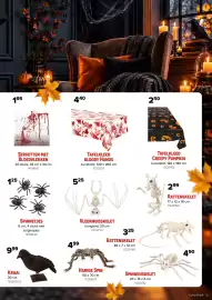 Euroshop folder Pagina 5: Kraai €9,99, Vleermuisskelet €525,00