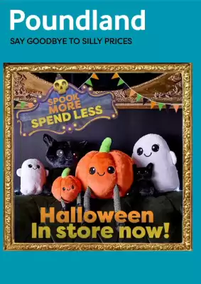 Poundland (valid until 13-11)