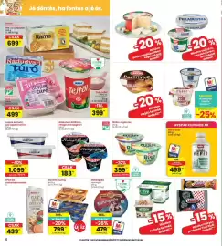 Interspar akciós újság hét 42 Oldal 6: DANETTE Puding €799,00, Tolle tejföl €399,00