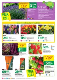 Catalogue RAGT Jardin & Maison page 2: ECLOZ JACINTHES €2,99, ECLÓZ NARCISSES GRANDES FLEURS €11,99