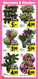Vomar Voordeelmarkt folder week 42 Pagina 32: Calathea €4,99, Calluna €3,99