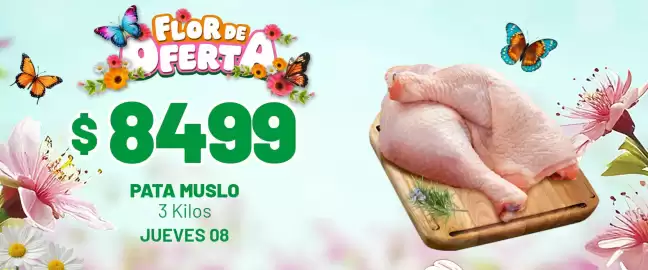 Catálogo Almacor Página 3: Pata muslo €84,99