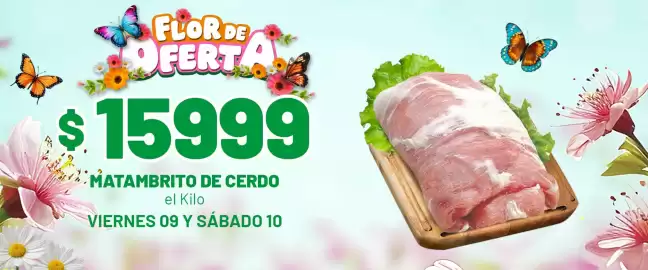 Catálogo Almacor Página 5