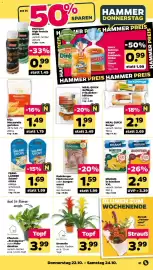 Netto Prospekt woche 43 Seite 37: MEAL QUICK Burger €2,19, Radeberger Filetrotwurst €1,59