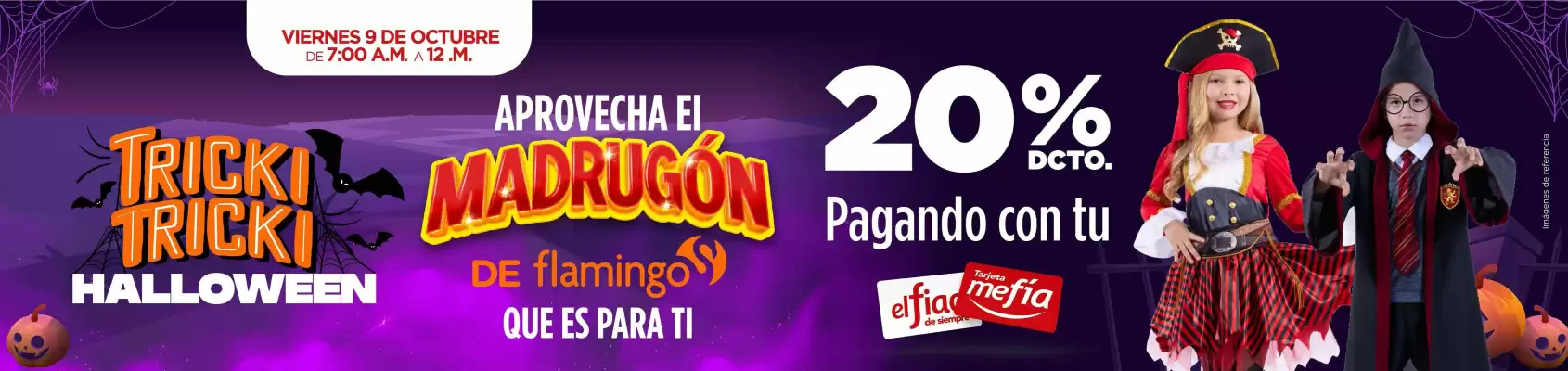 Flamingo (válido hasta 9-10)