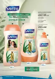 Catálogo Azzorti Página 8