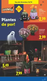 Catálogo Lidl semana 42 Página 33