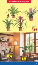 Catálogo Lidl semana 42 Página 55