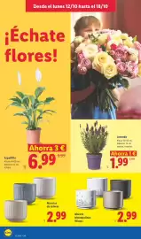 Catálogo Lidl | Canarias Página 26