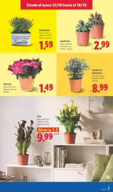 Catálogo Lidl | Canarias Página 27