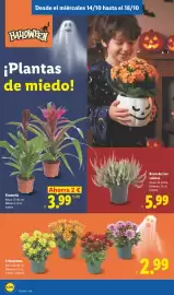 Catálogo Lidl | Canarias Página 28