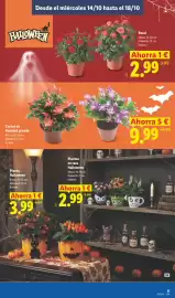 Catálogo Lidl | Canarias Página 29