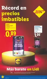 Catálogo Lidl | Canarias Página 60