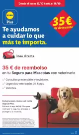 Catálogo Lidl | Canarias Página 65